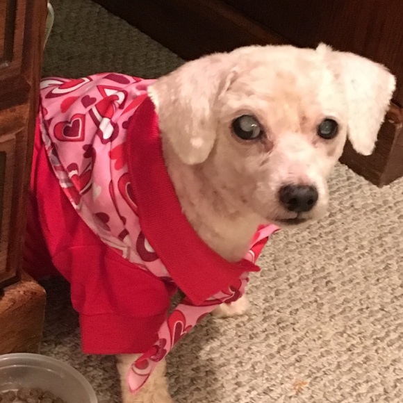 Meet your Posher, Tambra - Picture 7 of 8